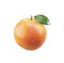 Load image into Gallery viewer, Grapefruit